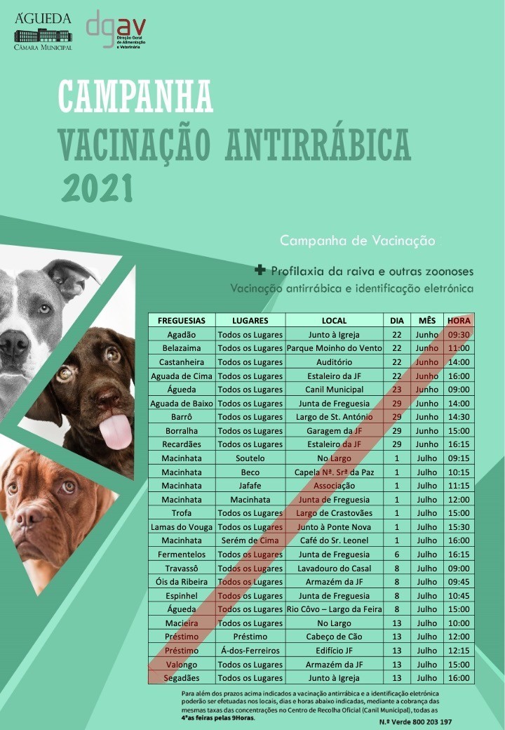 Campanha anual de vacinação antirrábica arranca amanhã