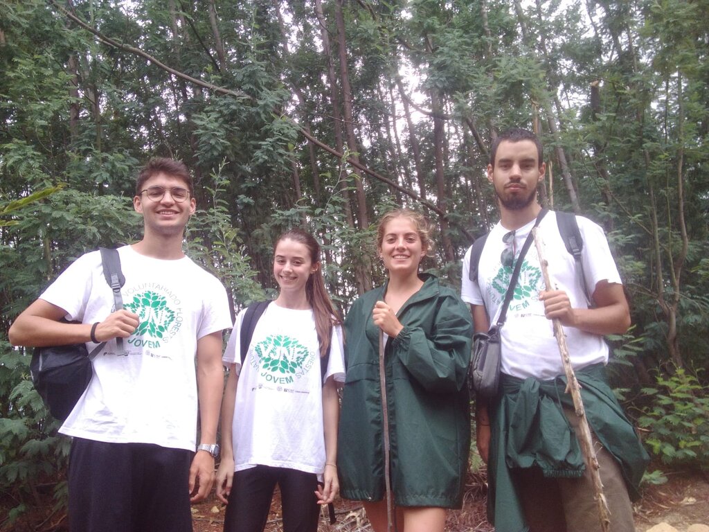 Câmara de Águeda convida jovens a vigiar a floresta