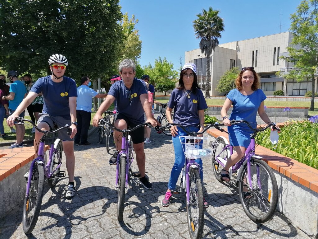 Percursos Dourado e Verde passam por Anadia