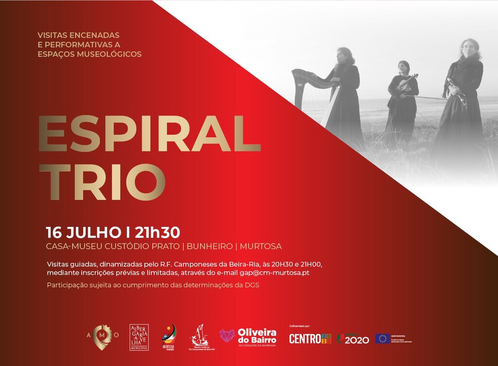 VISITAS PERFORMATIVAS A ESPAÇOS MUSEOLÓGICOS - ESPIRAL