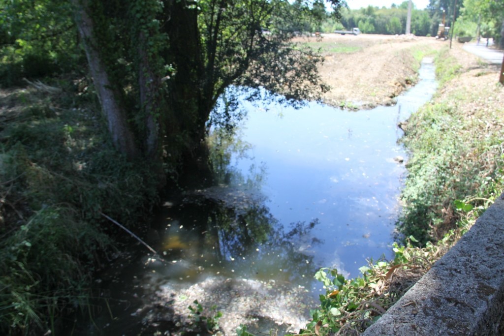 Sessões de esclarecimento sobre obras no Rio Levira