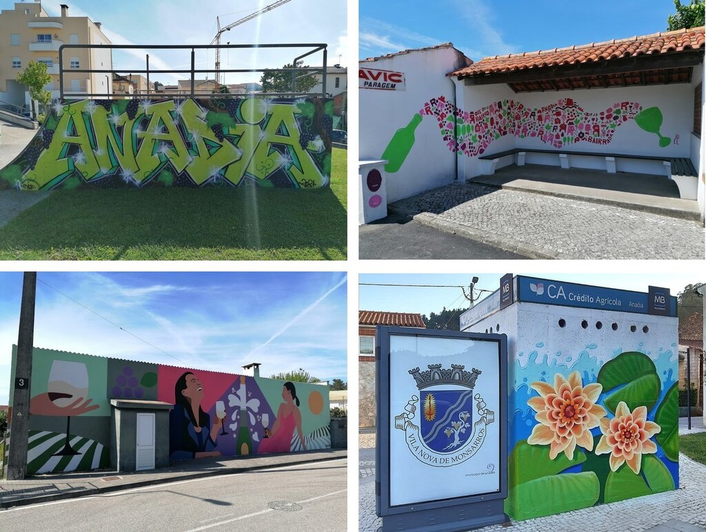 "DEZA6" pinta Anadia