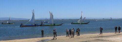 RAW 2017: regata de moliceiros cumpriu tradição