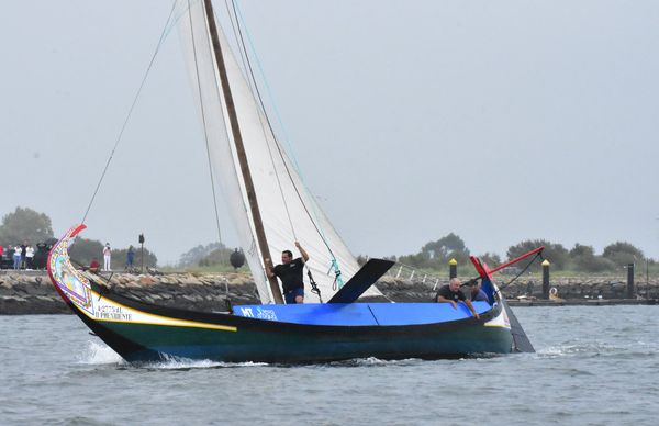 "O PRESIDENTE" VENCEU A REGATA DE MOLICEIROS DA FESTA DO EMIGRANTE