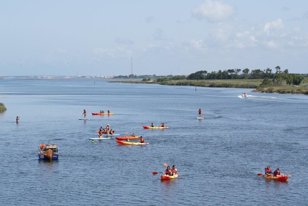 Município de Vagos comemora Dia Internacional da Juventude com atividades náuticas