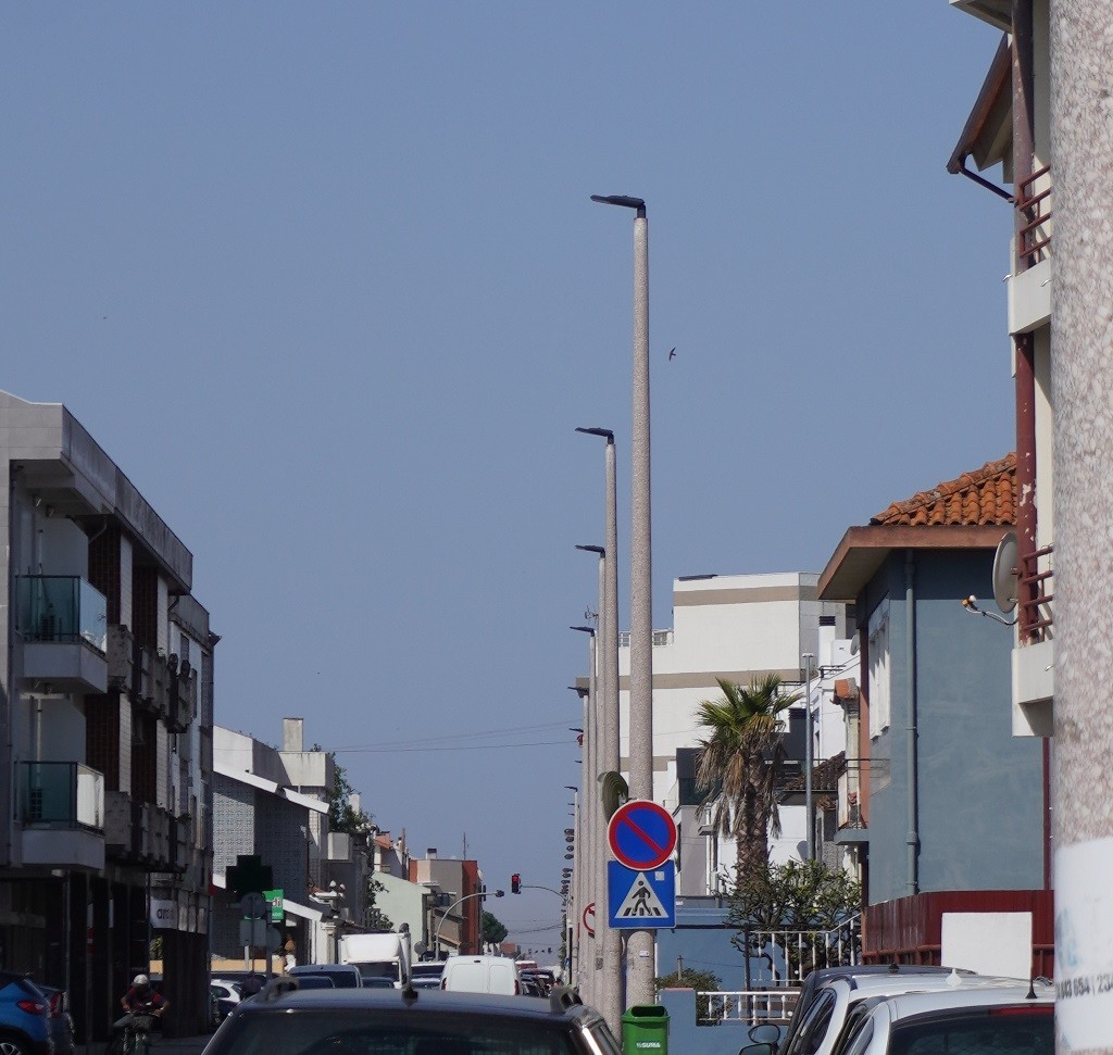 Substituição das luminárias por sistema LED permite melhor Gestão Energética no Município de Ílhavo
