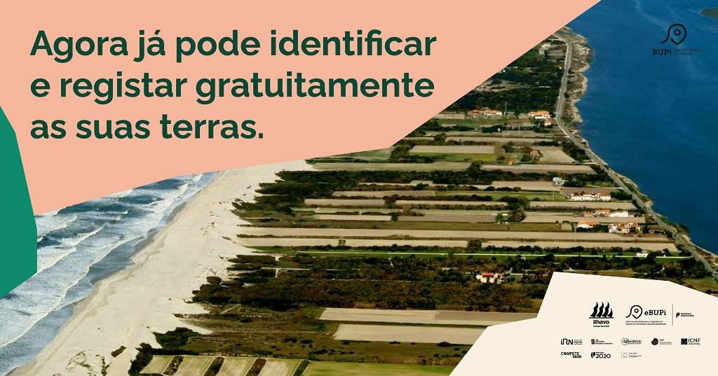 Balcão Único do Prédio (BUPi) vai abrir no Município de Ílhavo