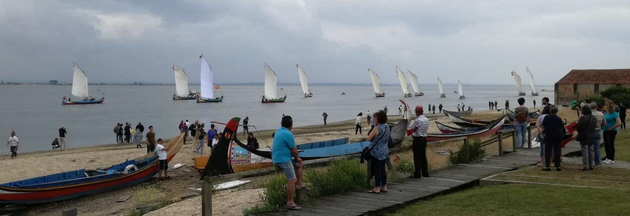 Regata dos Moliceiros: ganhou a Ria!