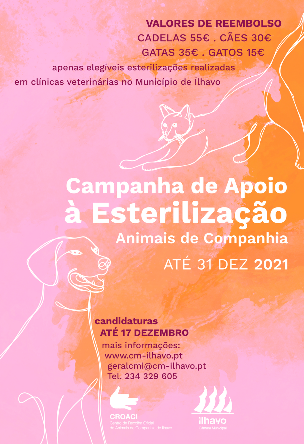 Câmara Municipal volta a promover campanha de esterilização animal, no CROACI
