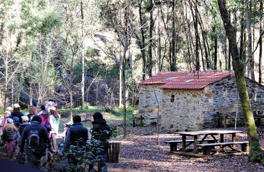 Projeto AMO promove visitas ao património natural de Albergaria-a-Velha