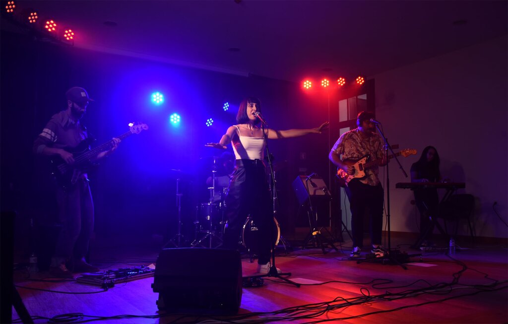  LEO THE PAINTER APRESENTARAM-SE NA OFICINA DE ARTES