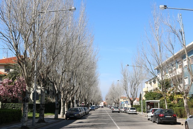 1,4 MILHÕES DE EUROS NA REQUALIFICAÇÃO DA AVENIDA 25 DE ABRIL