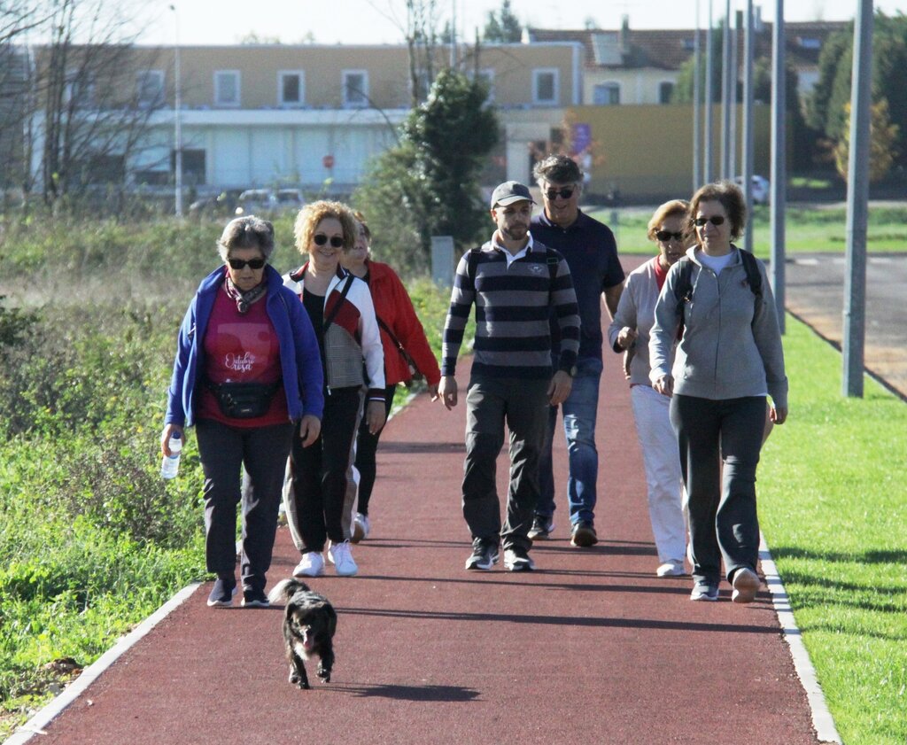 Universidade Sénior cria oficina "Caminhar +"