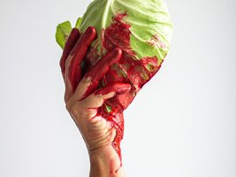 PEÇA NO TEATRO AVEIRENSE MOSTRA A ATUALIDADE DE SHAKESPEARE