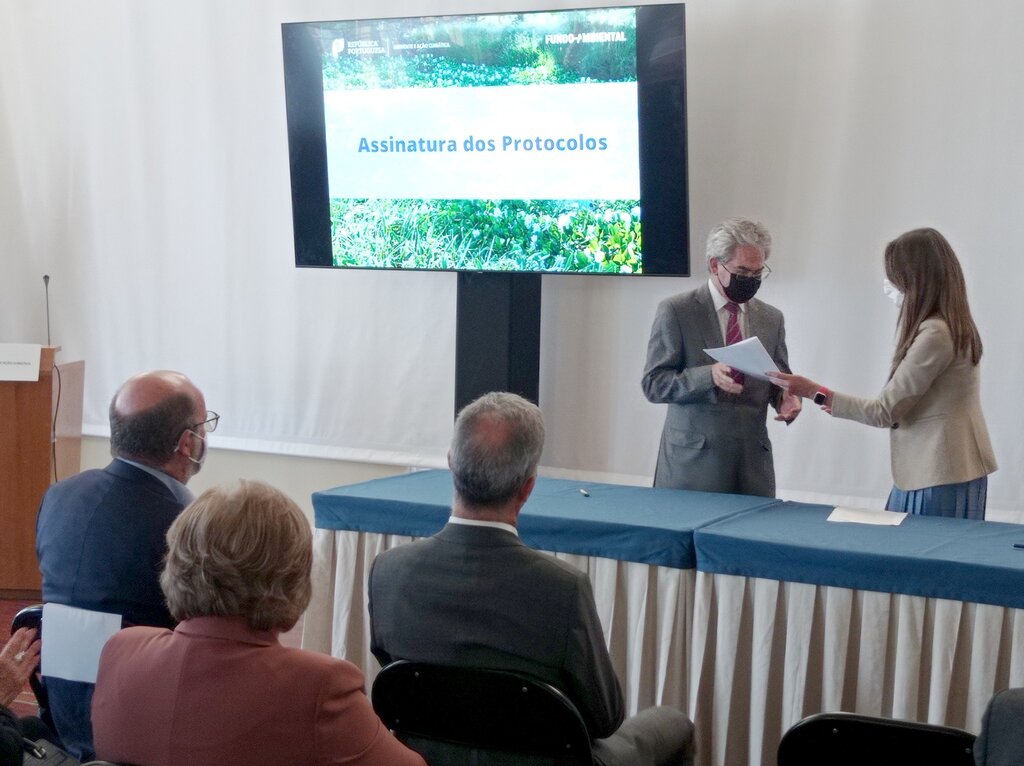 Autarquia consegue financiamento para combater erva-das-pampas