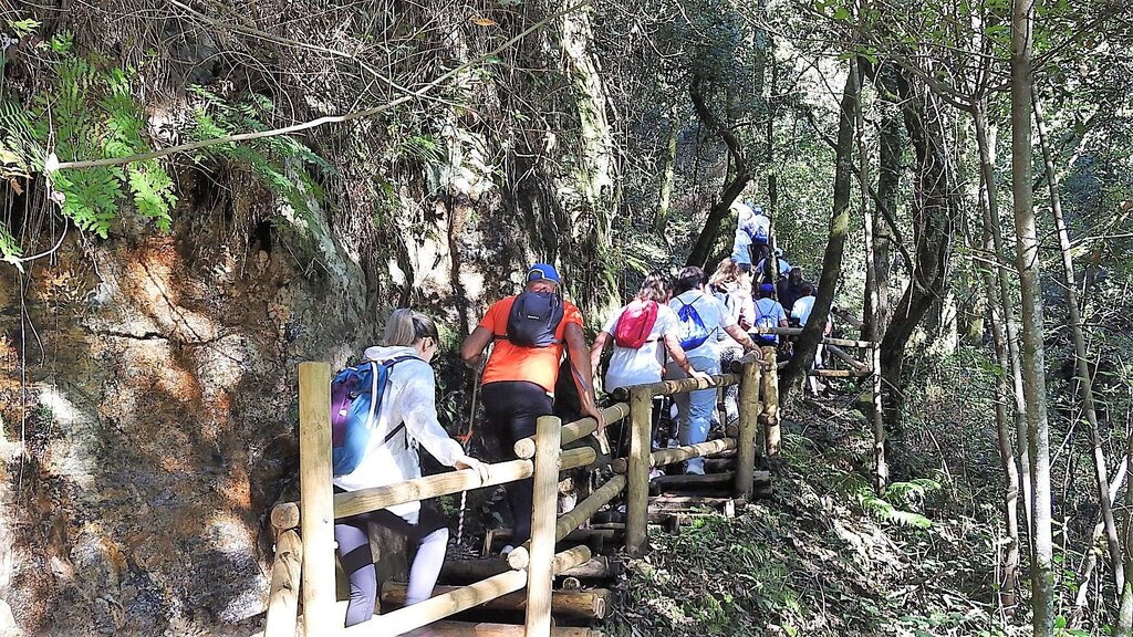 Novo trilho do programa “Sever do Vouga a caminhar” marcado para o próximo dia 14