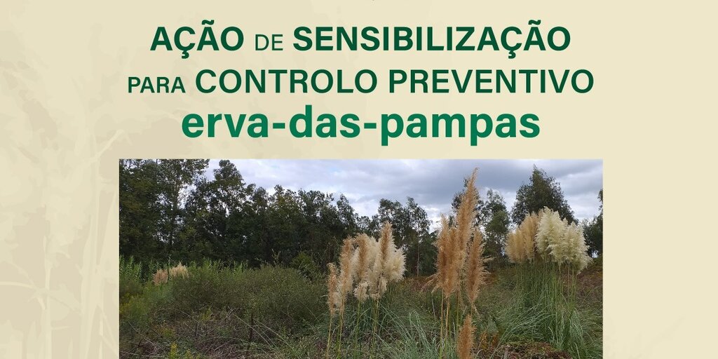 Sessão de sensibilização para o controlo preventivo da erva-das-pampas | 23 de novembro