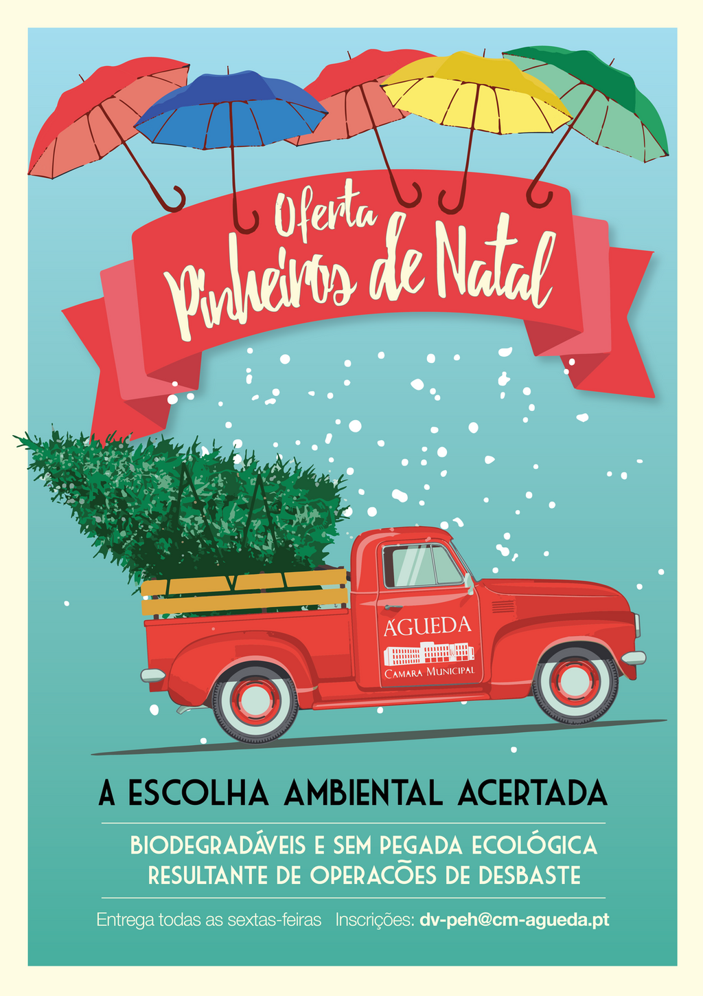 Câmara Municipal de Águeda oferece Pinheiros de Natal