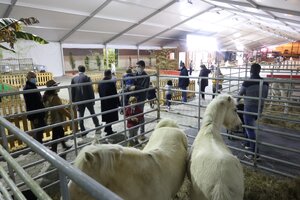 PROGRAMA DA NOVA AGROVOUGA 2021