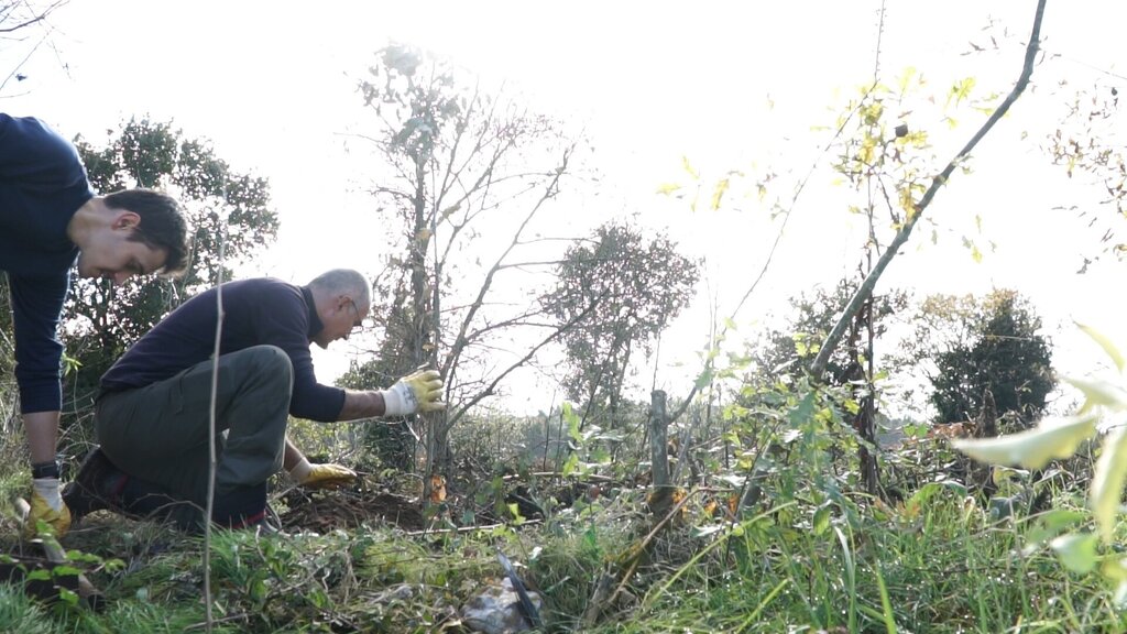 Câmara reabilita margens dos Rios Águeda e Alfusqueiro