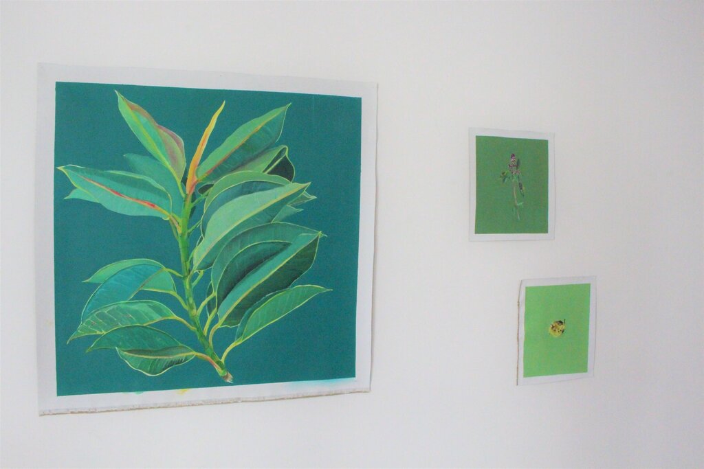 Exposição “Artist in Residence” no Cineteatro Alba