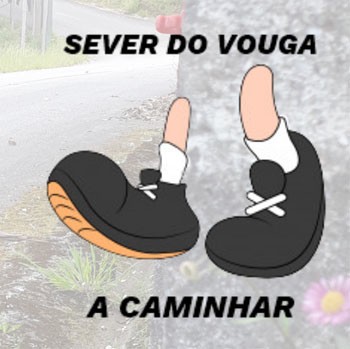 Último percurso da iniciativa "Sever do Vouga a caminhar” marcado para o próximo domingo 