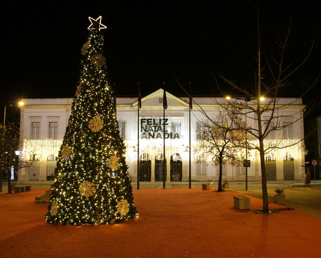 Votos de Boas Festas
