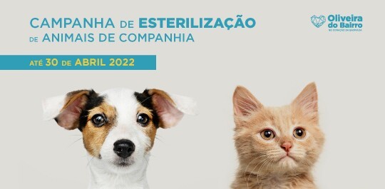 Apoio à esterilização de cães e gatos