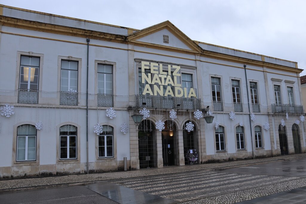 Votos da Assembleia Municipal de Anadia