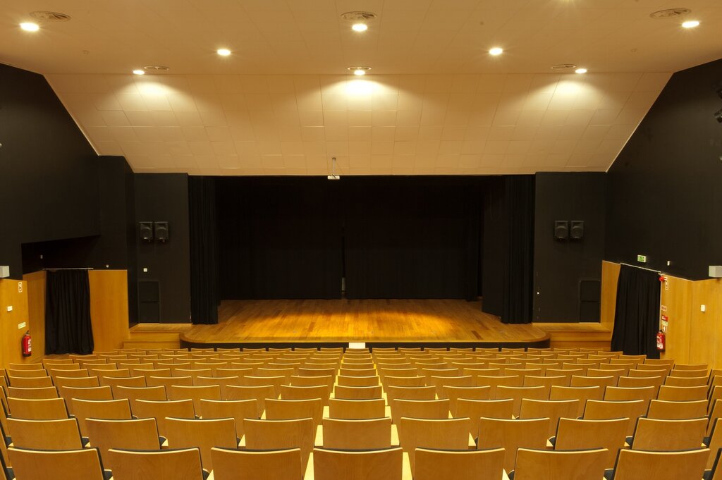 Sessão da Assembleia Municipal no Auditório de Oiã | Quarta-feira