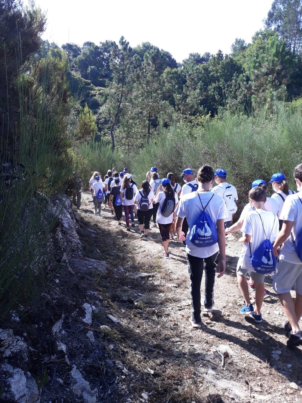 Primeira edição do programa “Sever do Vouga a caminhar” envolveu cerca de 300 participantes