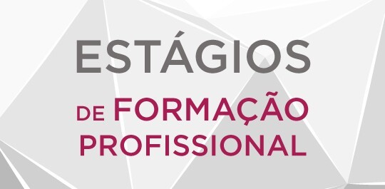 Estágio em Proteção Civil