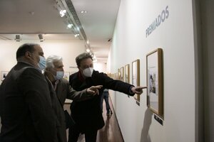 O melhor do cartoon no Museu do Vinho Bairrada