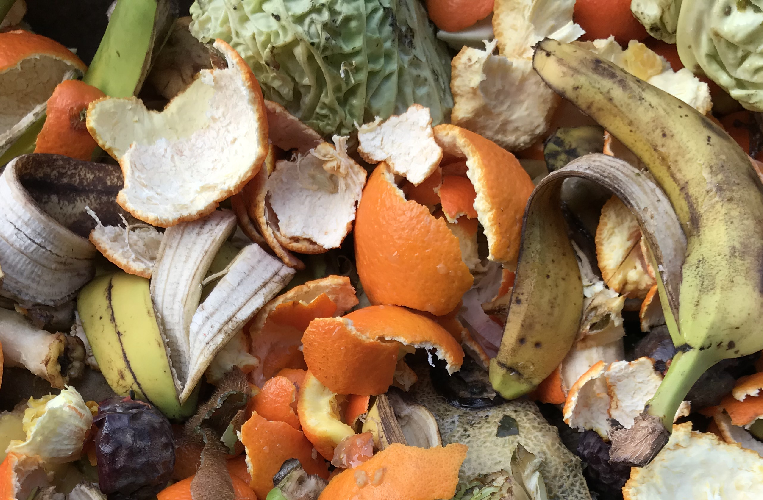 Recolha de biorresíduos