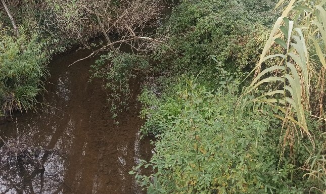 Autarquia vai limpar rios Lindo e Ervedal