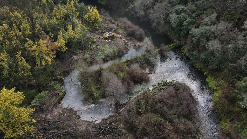 Projeto LIFE Águeda implementa medidas de conservação ambiental para estimular migração de peixes...