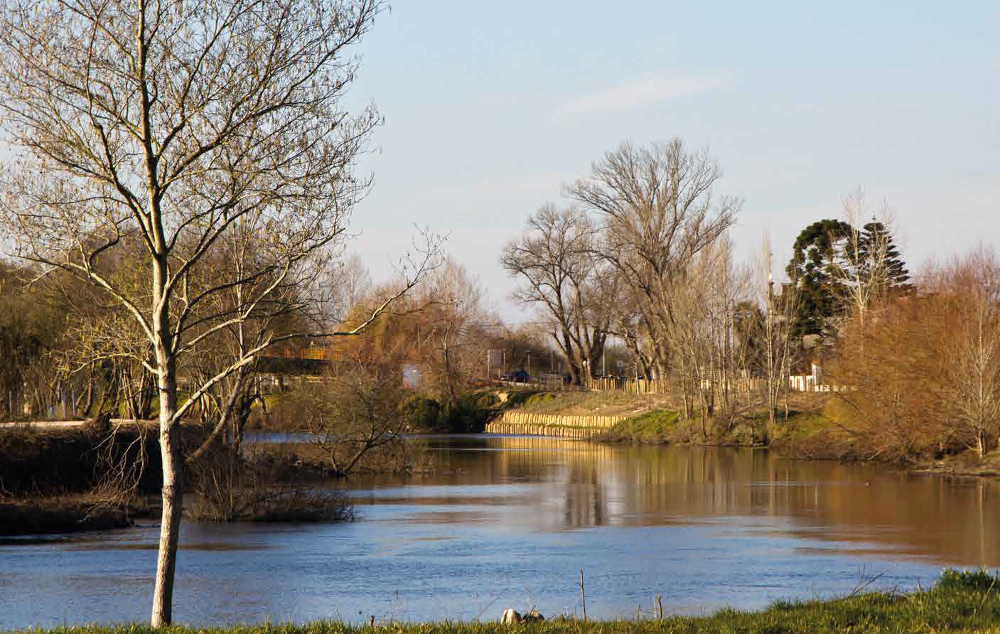 Dia Internacional de Ação pelos Rios