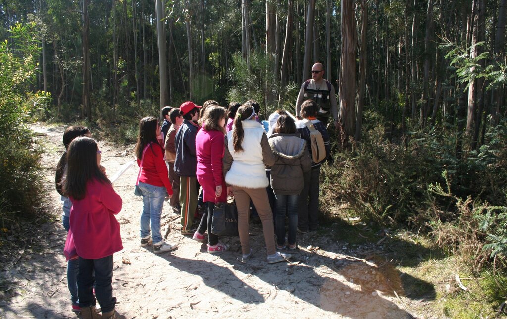 Em Ílhavo, as crianças são desafiadas a estar “De Olho na Floresta”