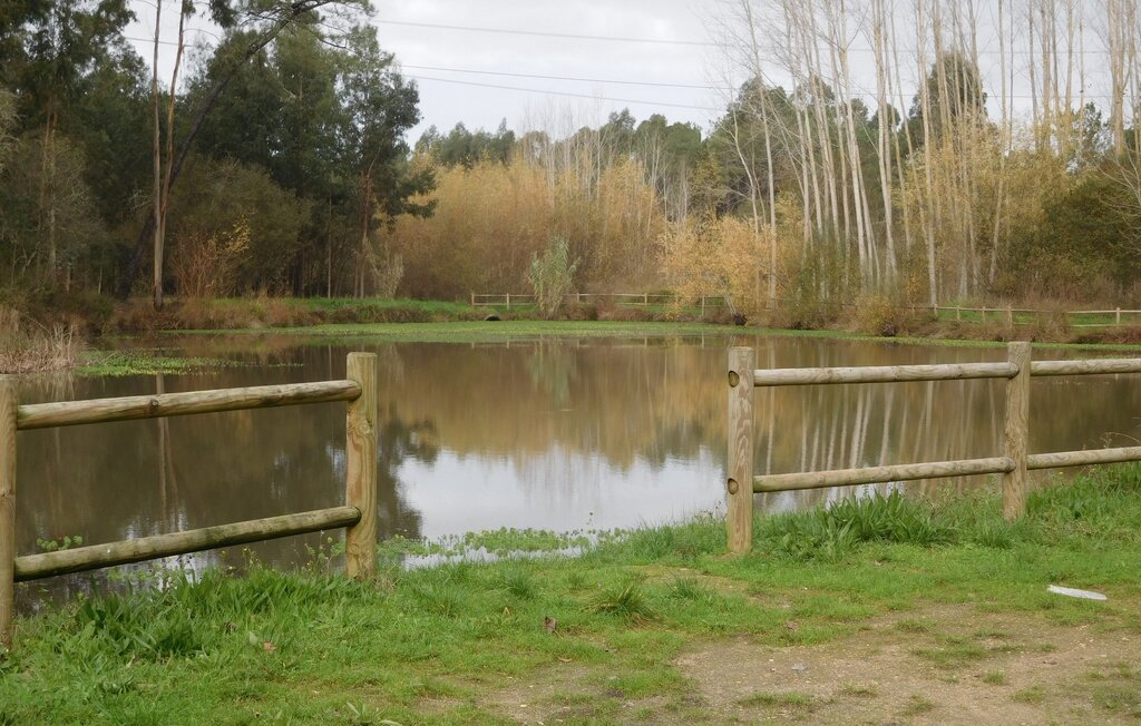 Comemoração do Dia das Florestas e do Dia da Água