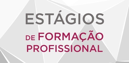 Estágio em Proteção Civil