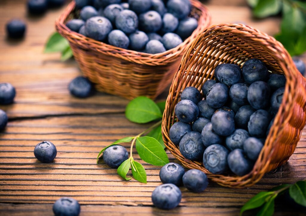 Feira Nacional do Mirtilo está de volta