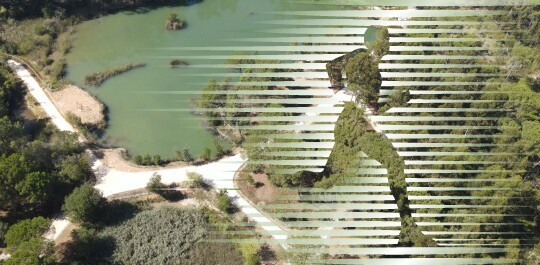 Corrida/ caminhada "Trilhos na Natureza" | 27 de agosto 