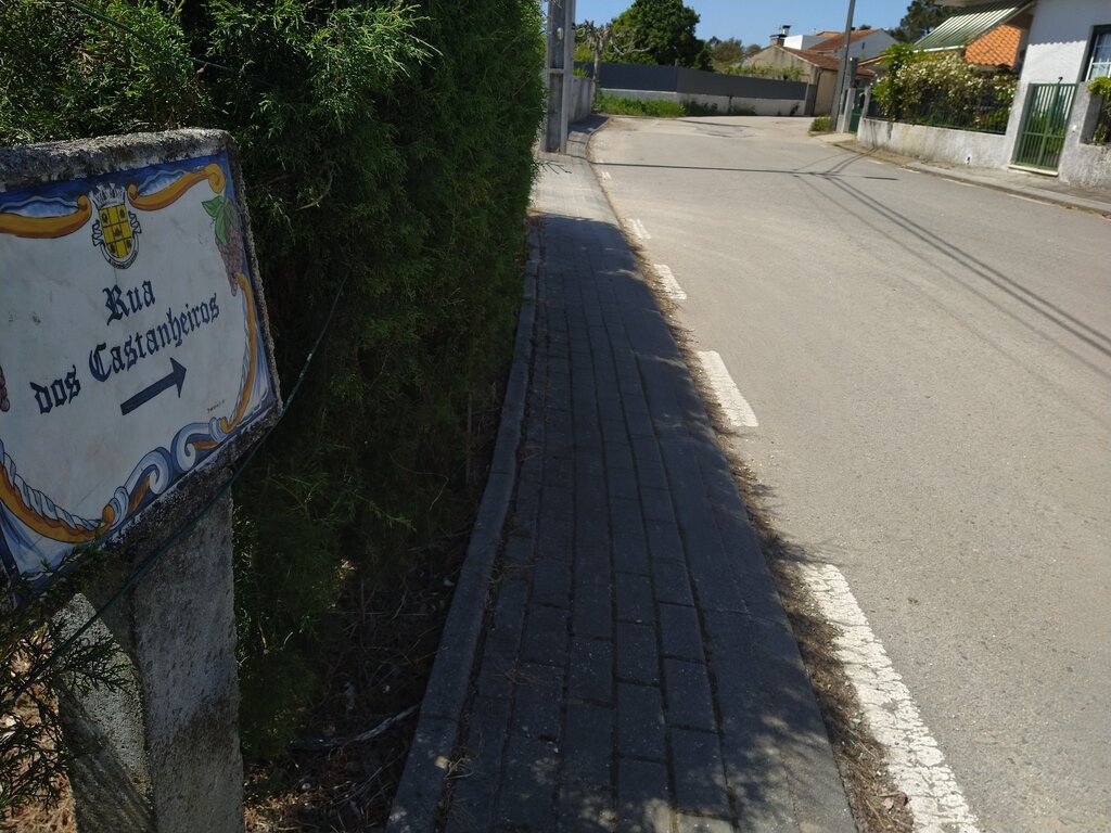 Requalificação da Rua dos Castanheiros