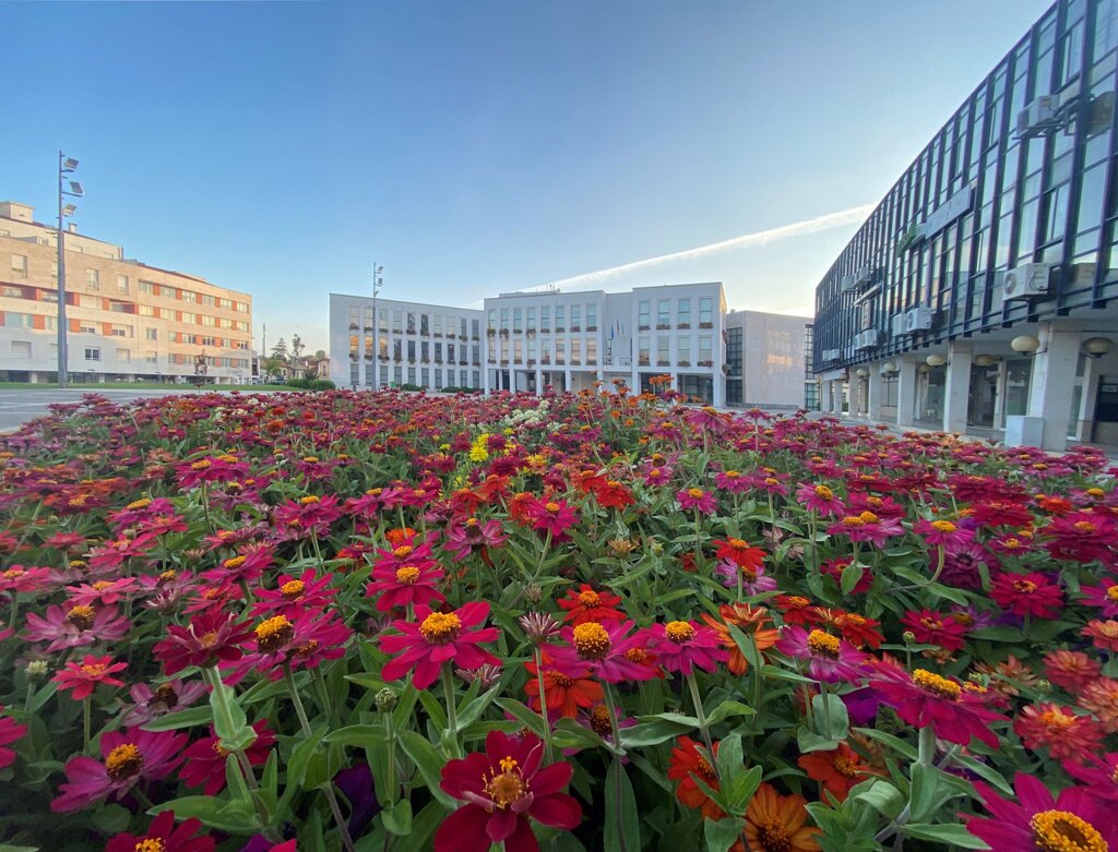 Câmara de Águeda com elevada taxa de execução orçamental e autonomia financeira