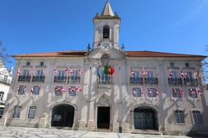 ATRIBUIÇÃO DE DISTINÇÕES HONORÍFICAS 2022