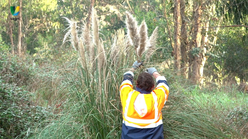 NO DIA 18 DE MAIO VAMOS TRAVAR AS PAMPAS