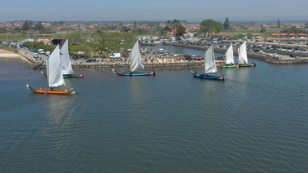 REGATA DE BARCOS MOLICEIROS DO MERCADO TRADICIONAL DO BICO
