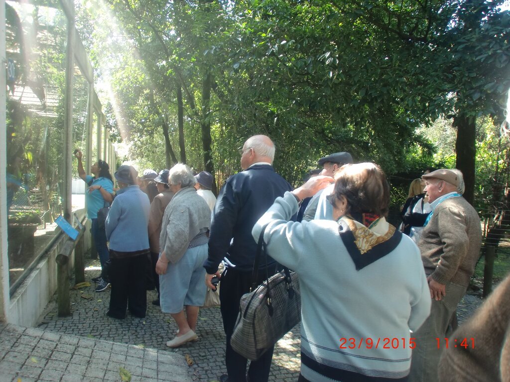 Tardes seniores com passeio a Lourosa