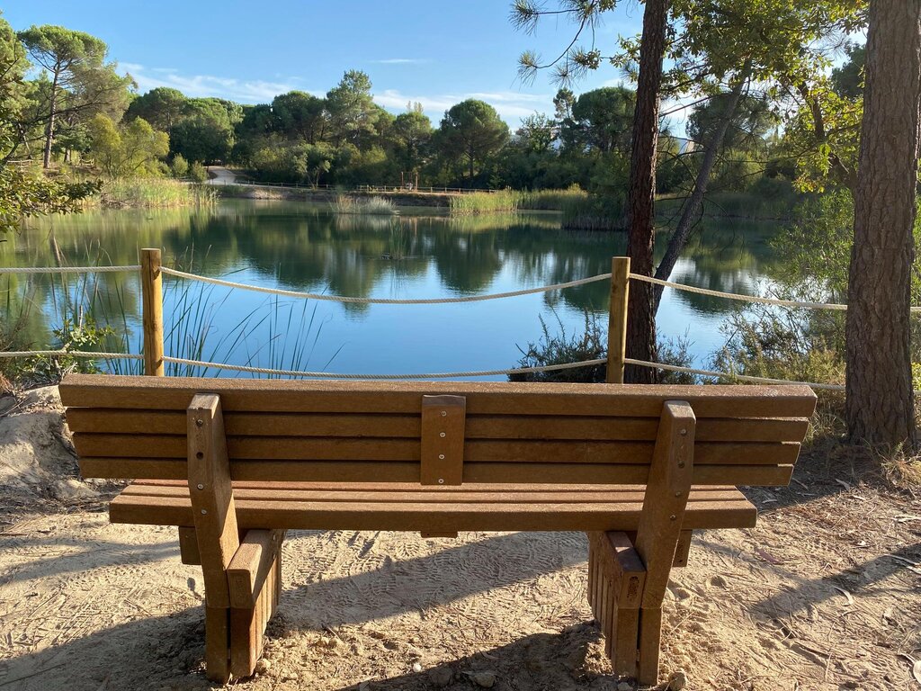 Município celebra Dia Mundial do Ambiente 