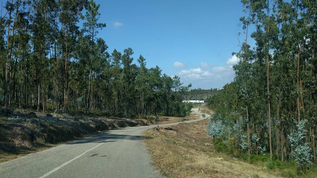 Ações de gestão de combustível nas Zonas Industriais e Rede Viária